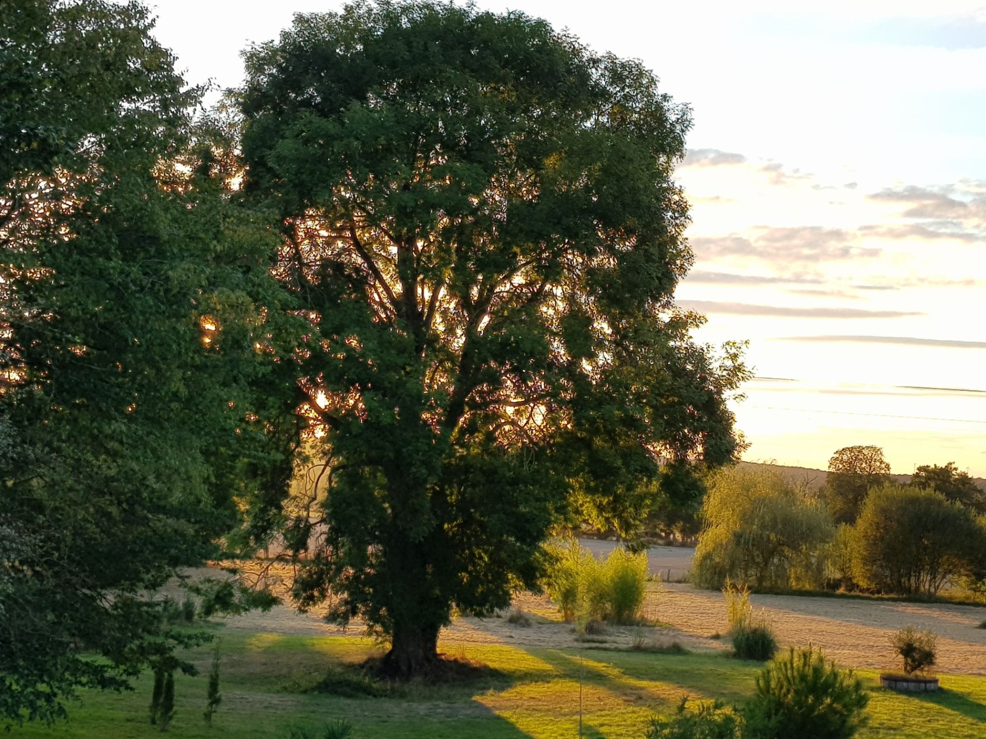20200905_200155.jpg