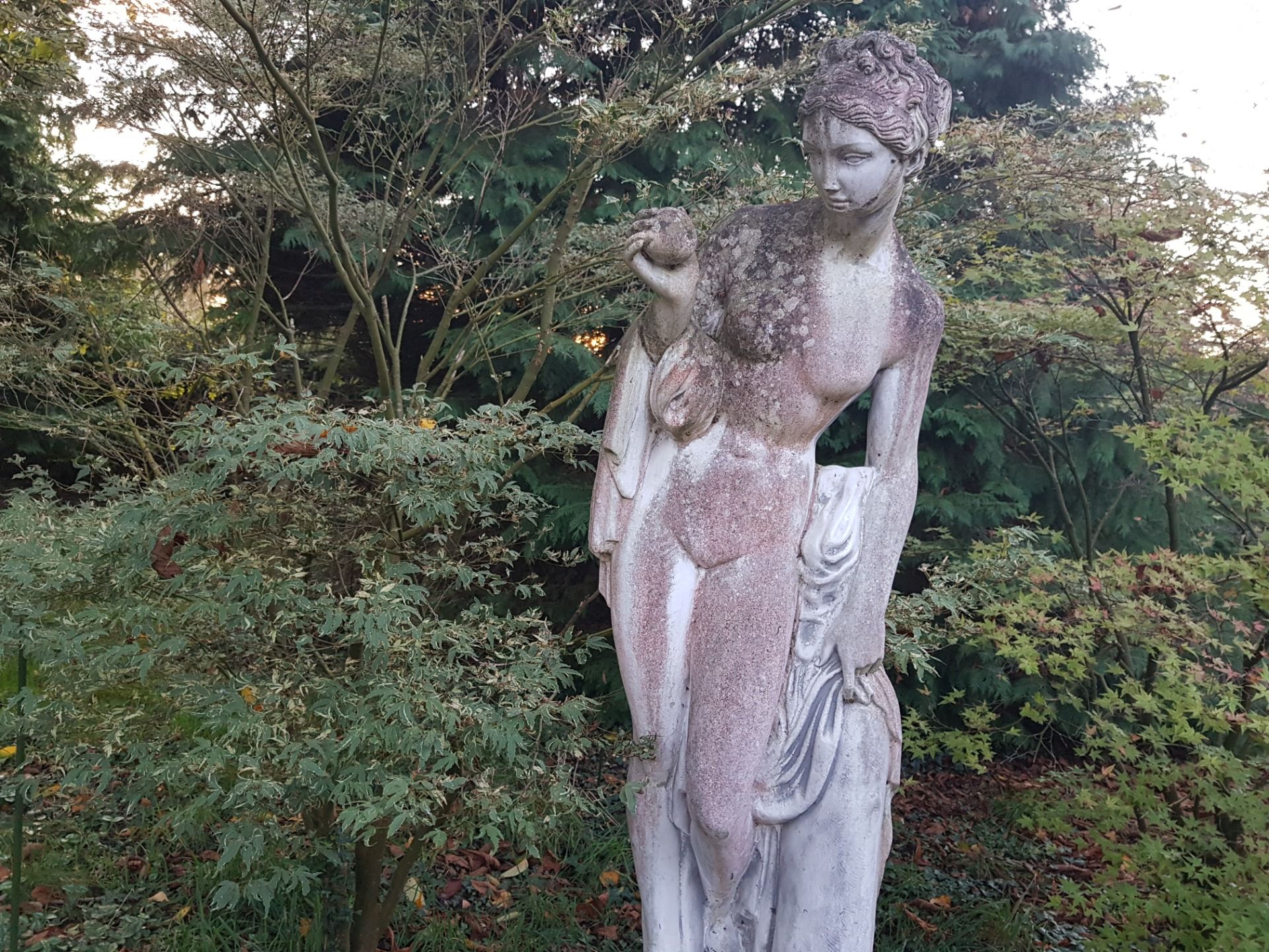 20201103_171857.jpg