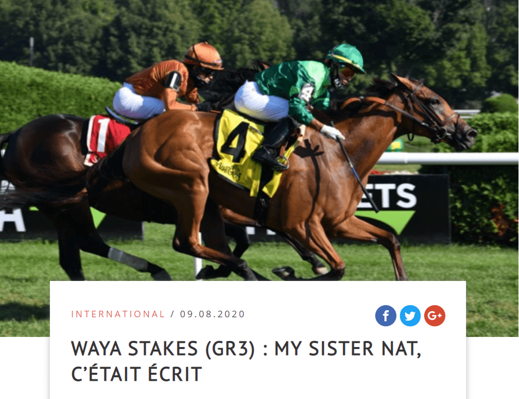 FireShotCapture1002-WayaStakesGr3_MySisterNatctaitcrit-JourdeGalop_-www.jourdegalop.com.png