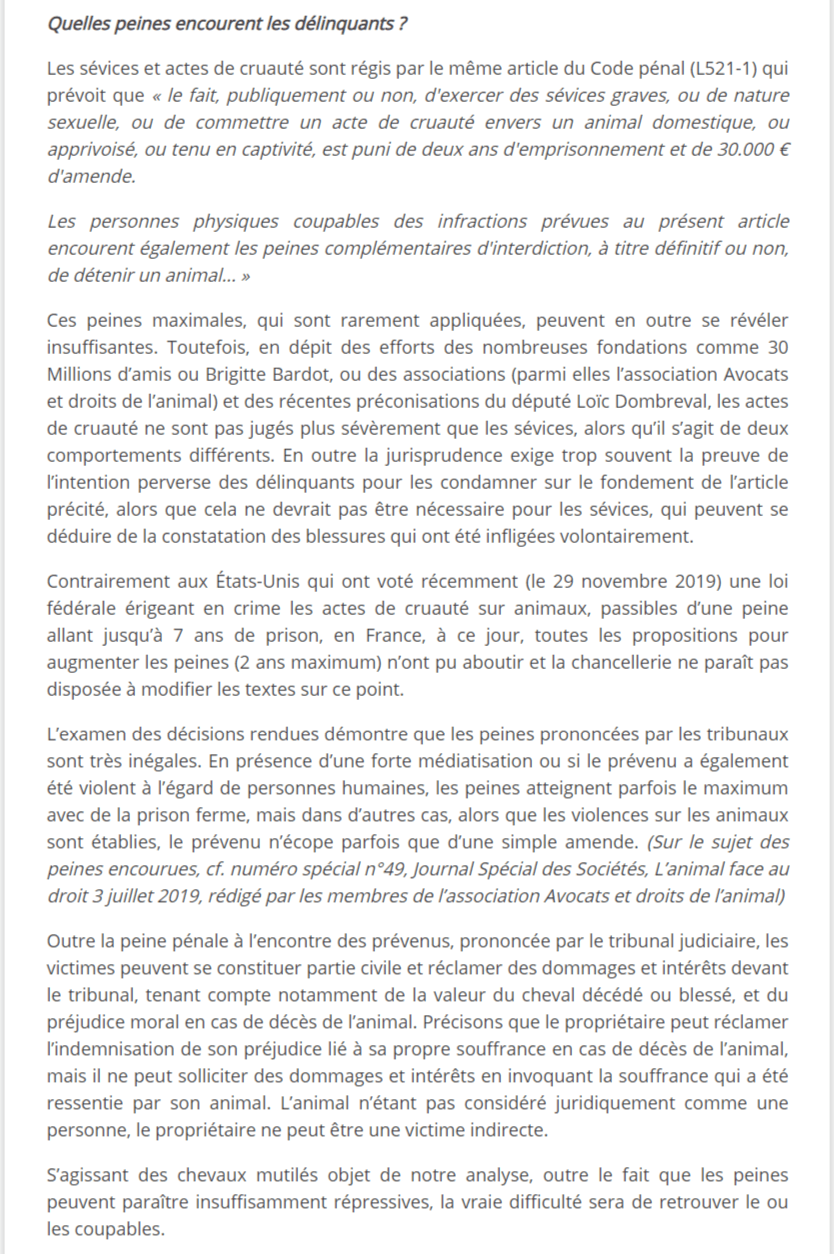 FireShotCapture1229-Laffairedeschevauxmutils_queditlajustice_-JourdeGalop_-www.jourdegalop.com.png