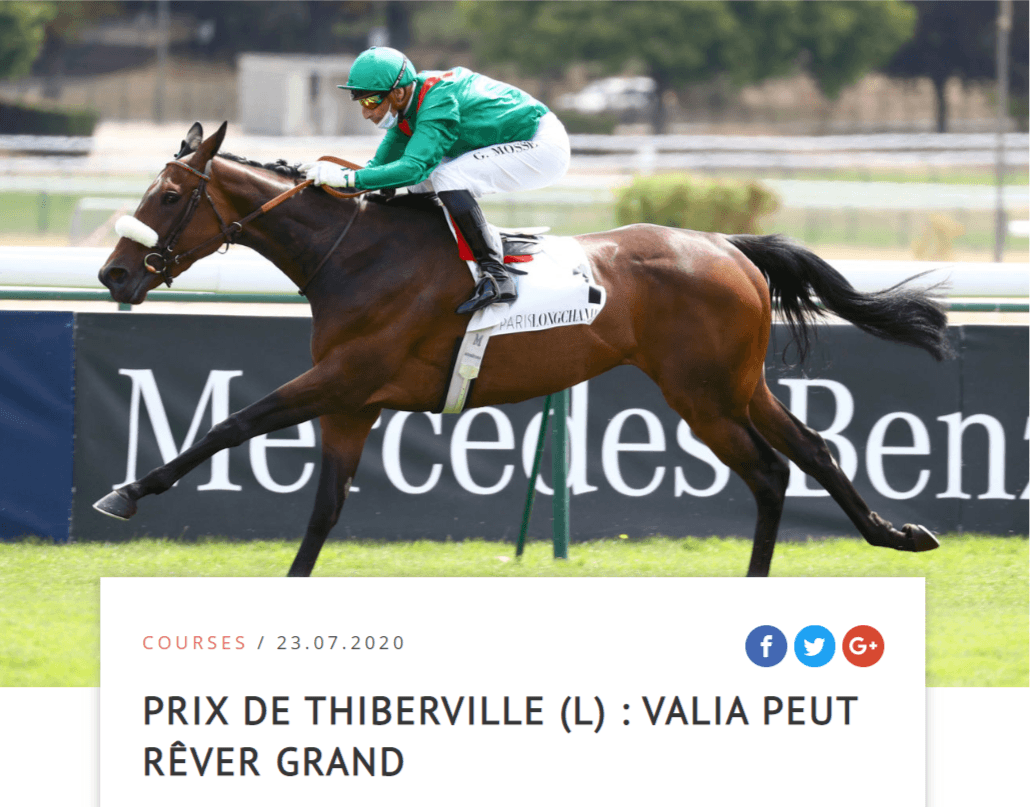 FireShotCapture639-PrixdeThibervilleL_Valiapeutrvergrand-JourdeGalop_-www.jourdegalop.com.png