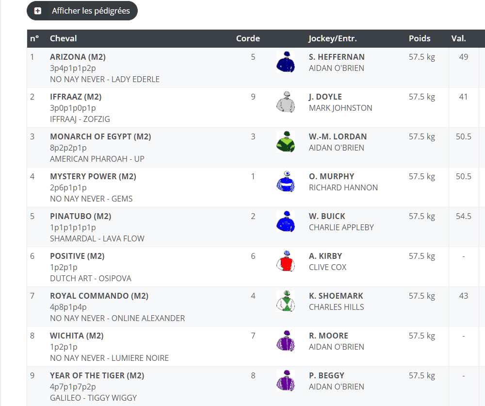 FireShotScreenCapture048-PronosticdelacourseTHEDARLEYDEWHURSTSTAKES-12oct_2019Canalturf-www_canalturf_com.png