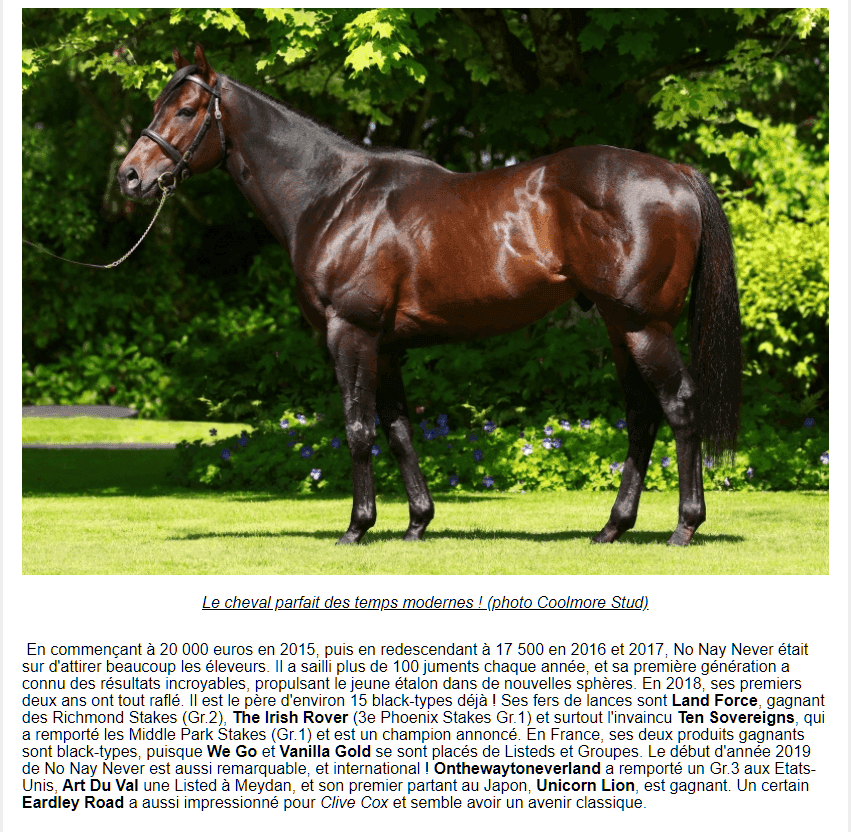 FireShotScreenCapture052-NoNayNeverleparfaittalondestempsmodernes-Francesire-www_france-sire_com.png