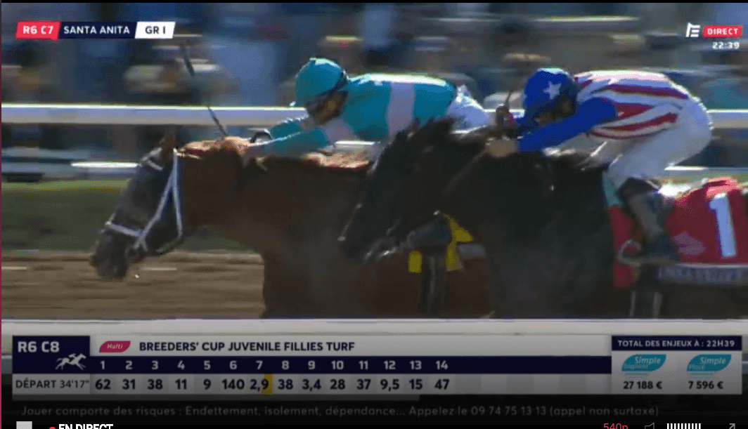 FireShotScreenCapture118-LesDirectsIEquidia-www_equidia_fr.png