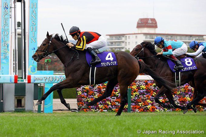 Gran-Alegria---JRA-2.jpg