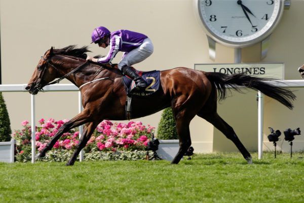 Highland-Reel-dr-600x4001.jpg