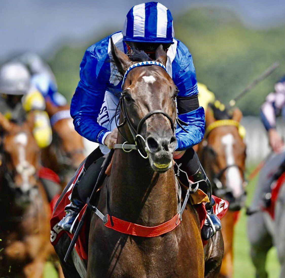 MOHAATHERChevalstormstowinThe2020SussexStakesatGoodwood.jpg