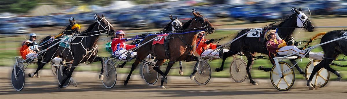 harness-racing-otb.jpg