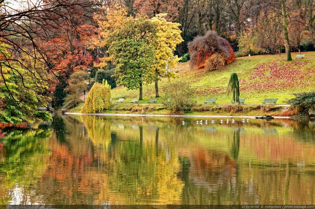 normal_reflet-automne-parc-montsouris-2.jpg