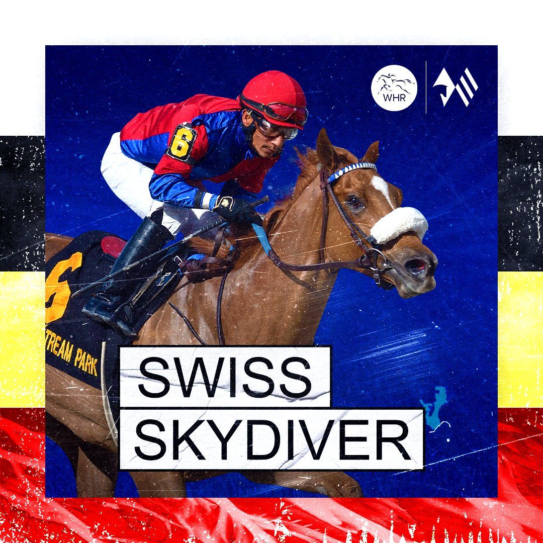 swissskydiver.jpg