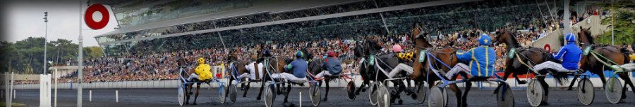 vincennes-hippodrome-linamix_2020-08-30-2.jpg