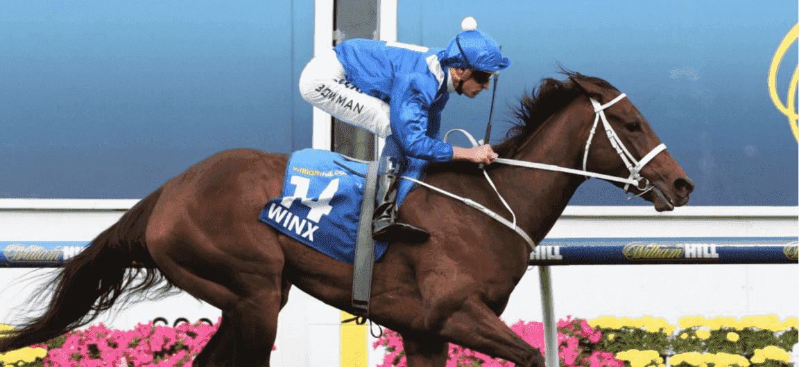 winx.PNG