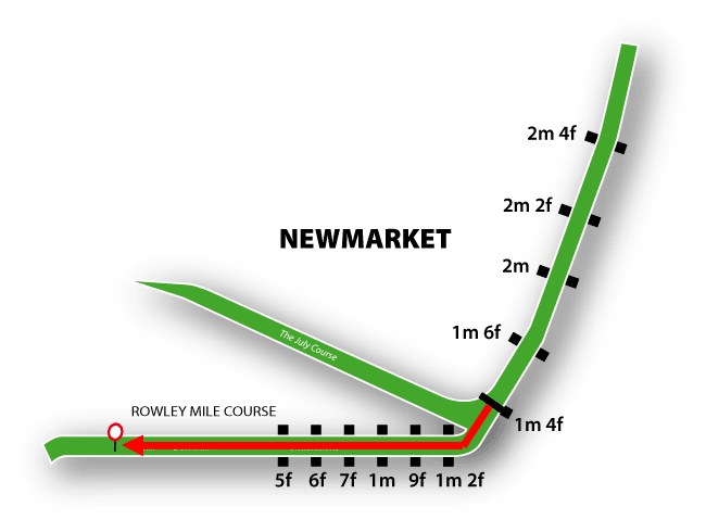 newmarketft.png