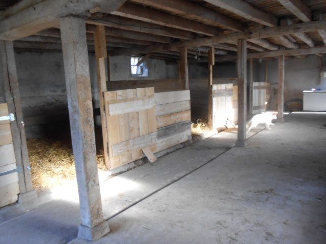 DSCN1382.JPG
