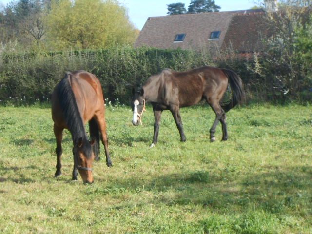DSCN1386.JPG