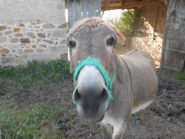 DSCN1392.JPG