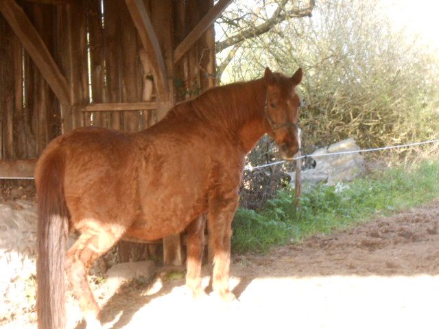 DSCN1396.JPG