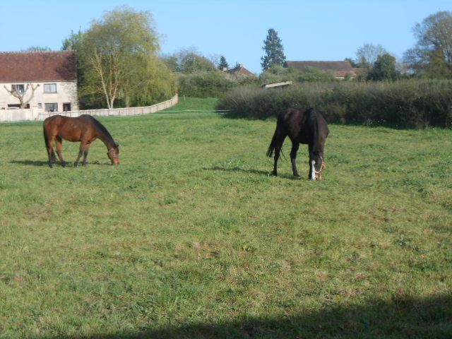 DSCN1400.JPG