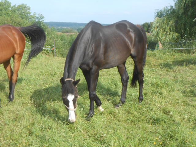 DSCN1448.JPG