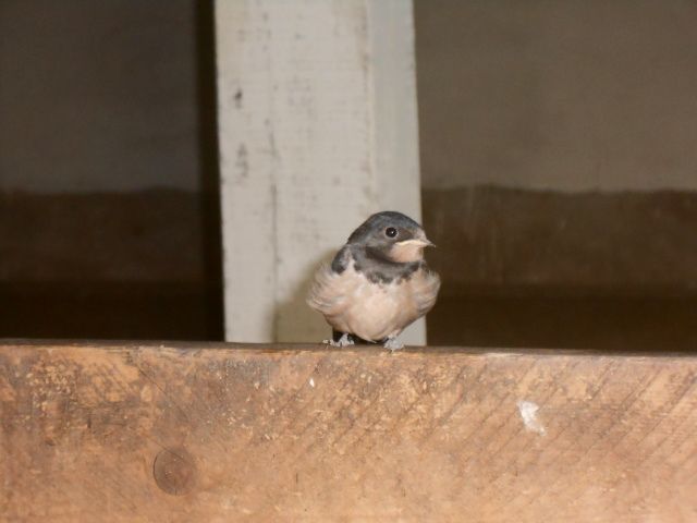 DSCN2515.JPG