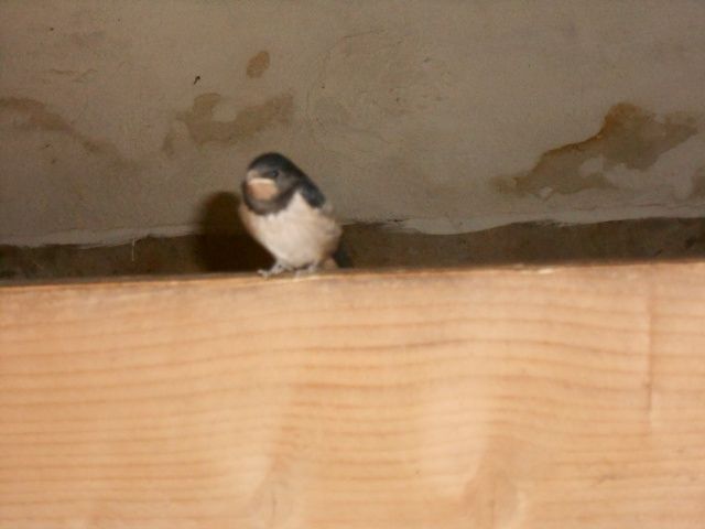 DSCN2521.JPG