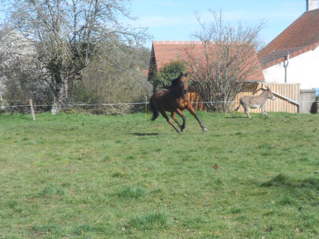 DSCN3411.JPG