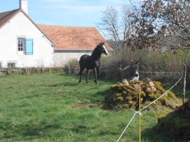 DSCN3412.JPG