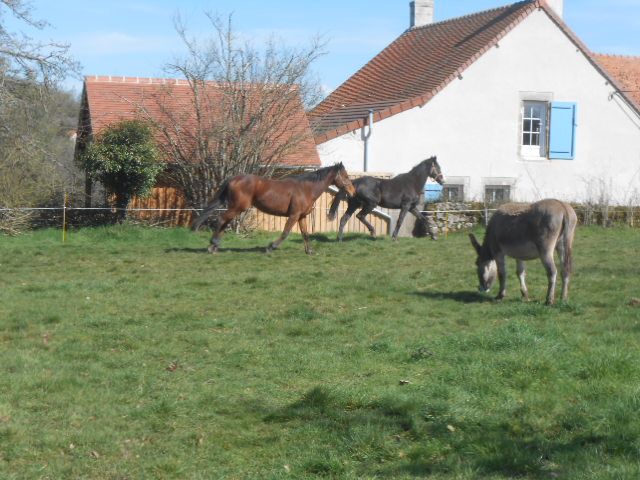 DSCN3414.JPG