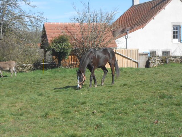 DSCN3418.JPG