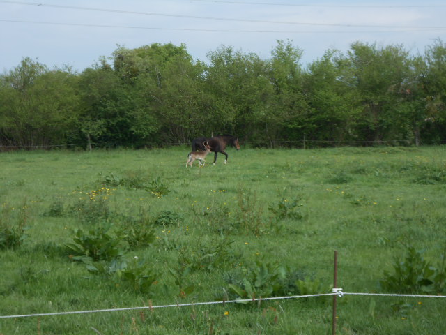 DSCN3746.JPG