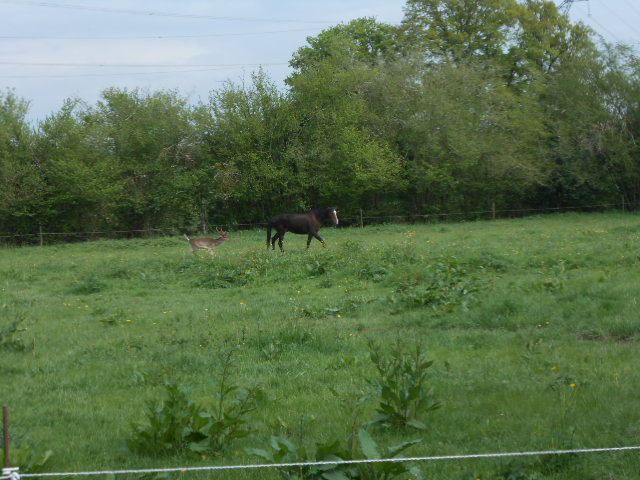 DSCN3747.JPG