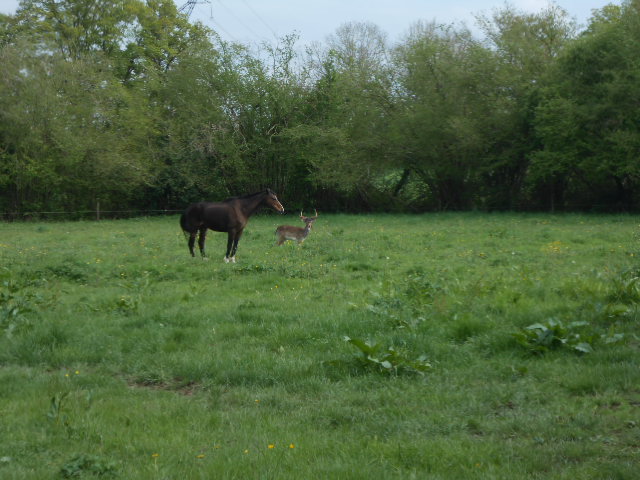DSCN3748.JPG