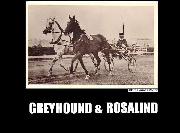 Greyhound---Rosalind-_-1936--1-.jpg