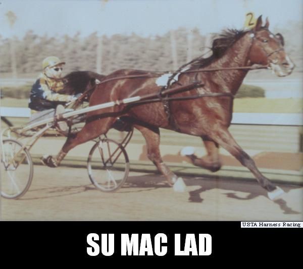 Su-Mac-Lad.jpg