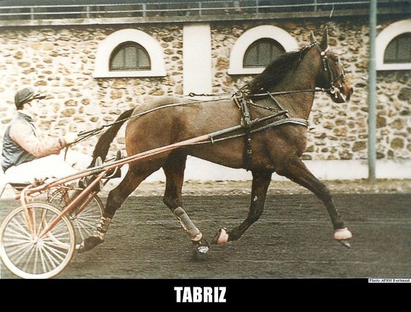 Tabriz.jpg