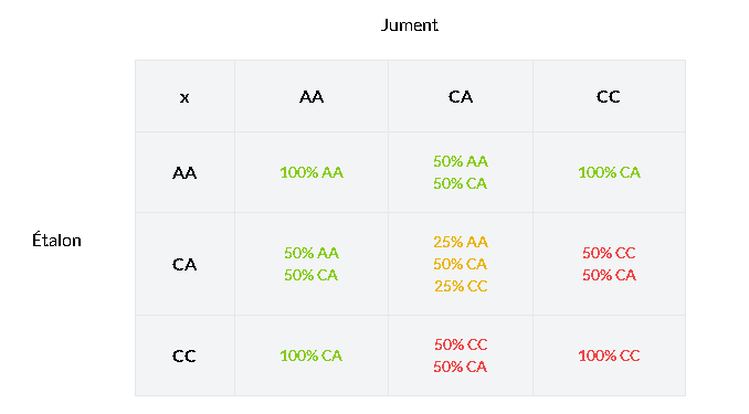 QM6.png