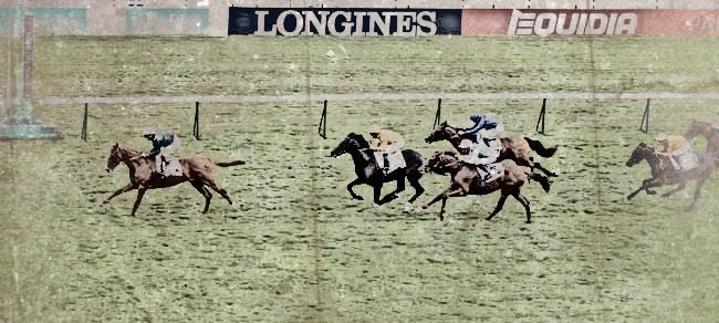 20180909-parislongchamp-prix-des-chenes-anodor1.jpg