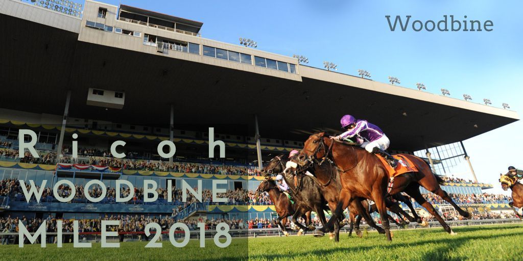 20180915-woodbine-mile.jpg