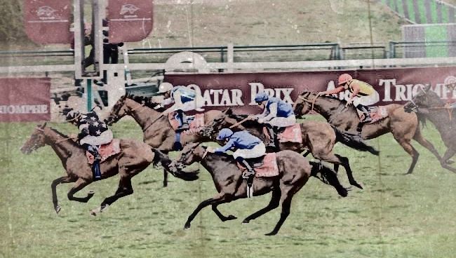 20180916-parislongchamp-prix-du-pin-tornibush1.jpg