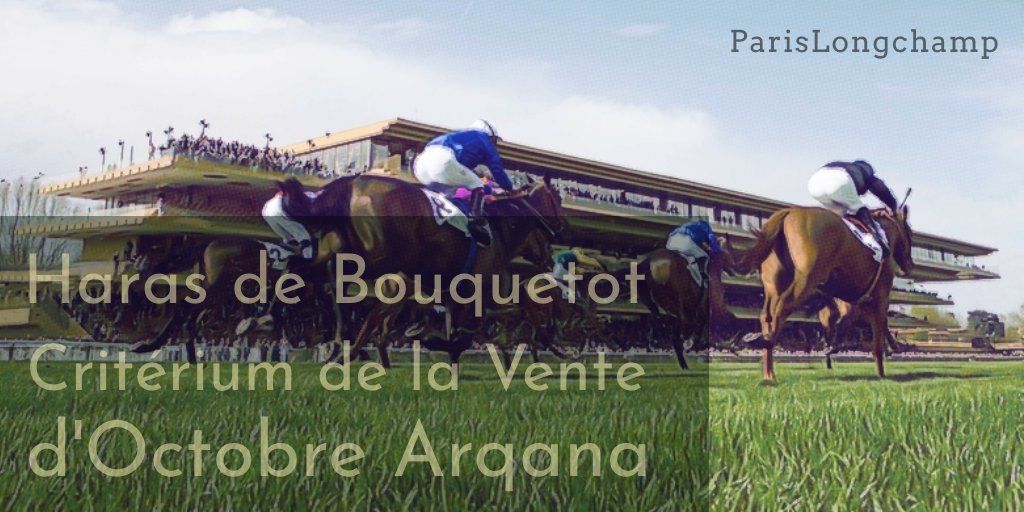 20181006-parislongchamp-criterium-de-la-vente-d-octobre-arqana.jpg