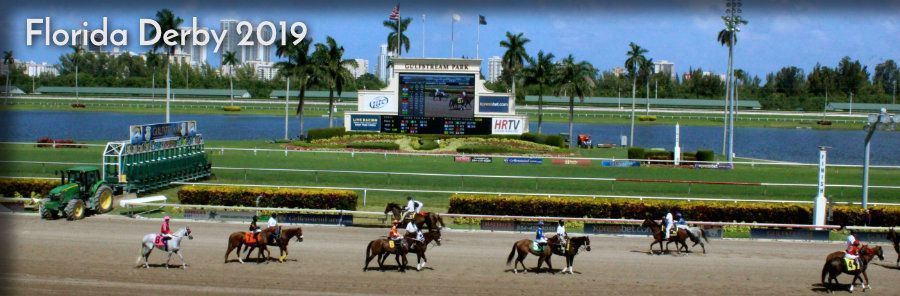 20190330-gulfstream-park-florida-derby-900_2019-03-29.jpg