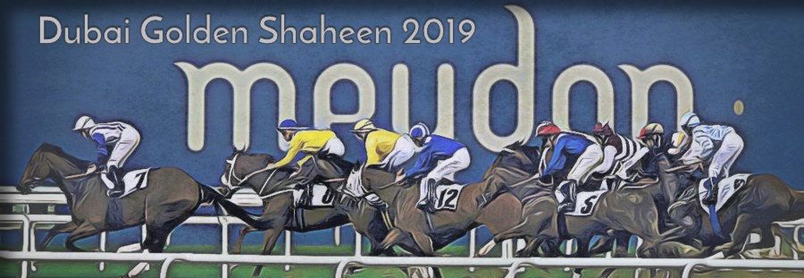 20190330-meydan-dubai-golden-shaheen-900.jpg