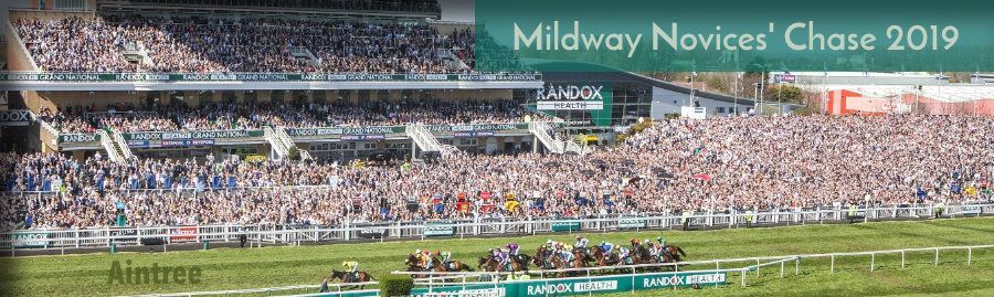 20190405-aintree-midmay-novices-chase-900.jpg