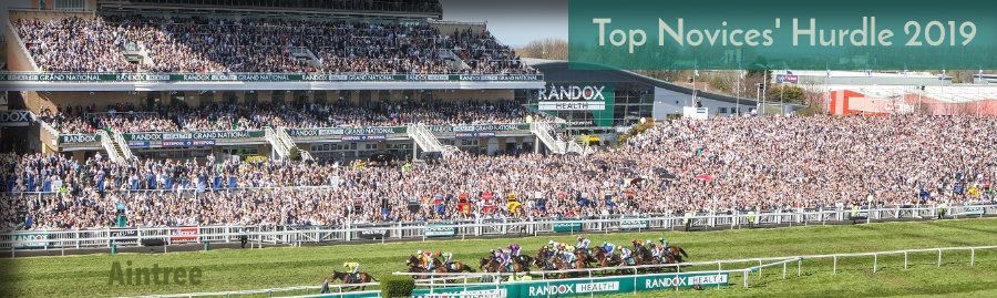 20190405-aintree-top-novices-hurdle-900.jpg