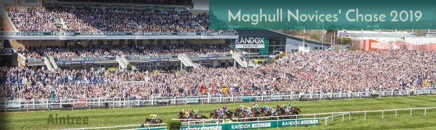 20190406-aintree-marghull-novices-chase-900.jpg