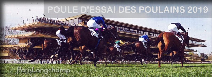 20190512-parislongchamp-poule-d-essai-des-poulains-900.jpg