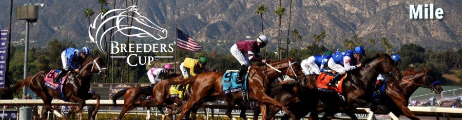 20191102-santa-anita-bc-mile-900.jpg