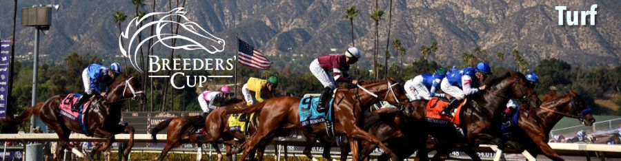 20191102-santa-anita-bc-turf-900.jpg