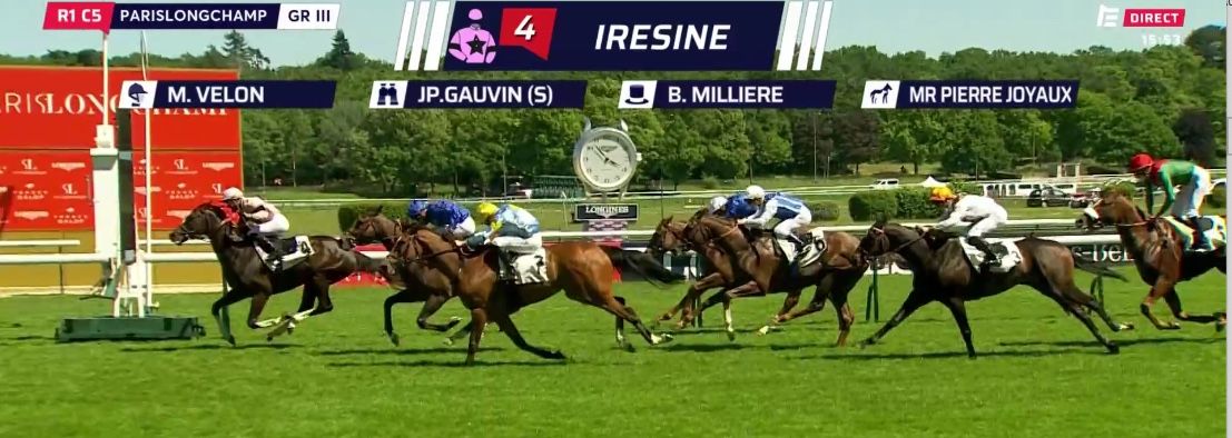 20210613-longchamp-iresine.jpg