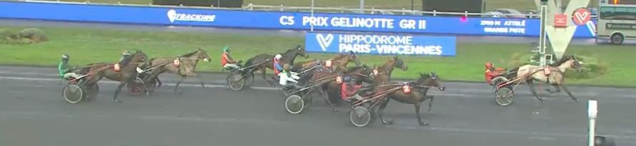 20220109-vincennes-gelinotte-jazzy-perrine.jpeg